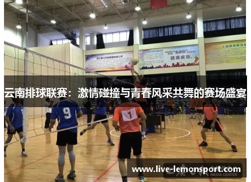 云南排球联赛：激情碰撞与青春风采共舞的赛场盛宴